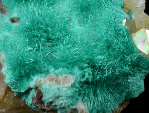 Brochantite from Blanchard Mine, Hansonburg District, 8.5 km south of Bingham, Socorro County, New Mexico