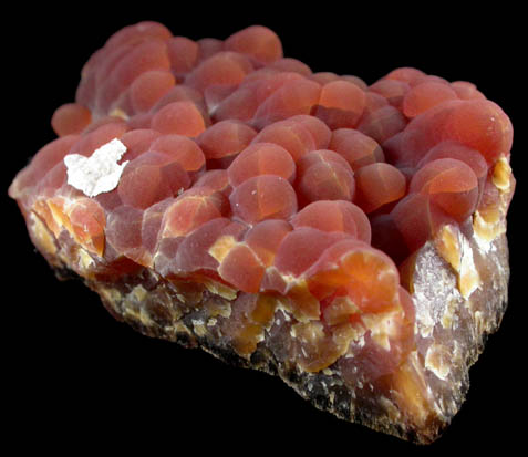 Calcite (stalactitic) from Bud Ehrle Locality, near Miles City, Carter County, Montana