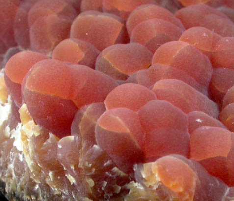 Calcite (stalactitic) from Bud Ehrle Locality, near Miles City, Carter County, Montana