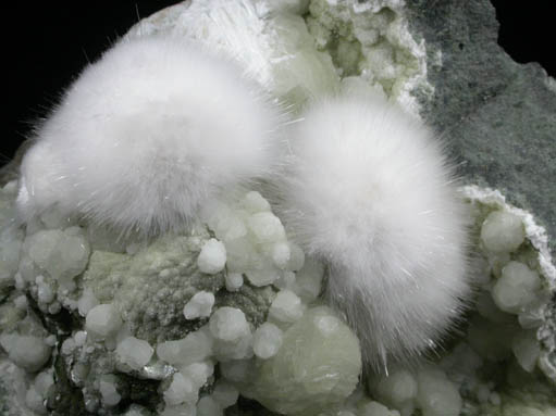 Okenite and Gyrolite from Bombay Quarry, Mumbai (Bombay), Maharastra, India