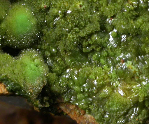 Chlorargyrite var. Embolite on Limonite from Broken Hill, New South Wales, Australia