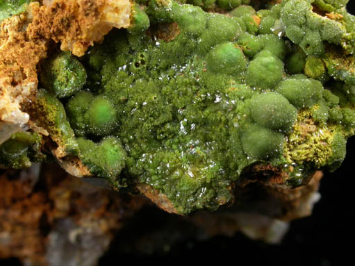 Chlorargyrite var. Embolite on Limonite from Broken Hill, New South Wales, Australia