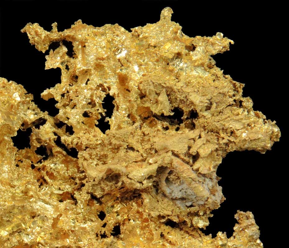 Gold from Mockingbird Mine, Mariposa County, California