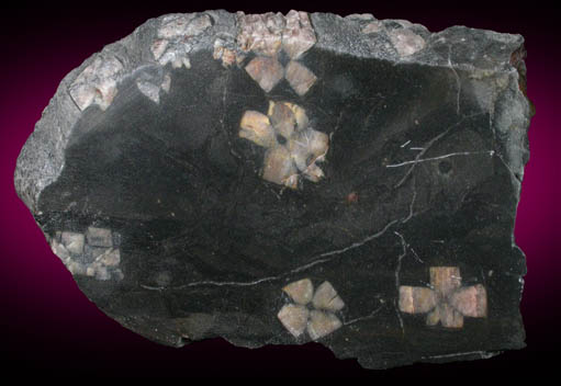 Andalusite var. Chiastolite from Lancaster, Worcester County, Massachusetts