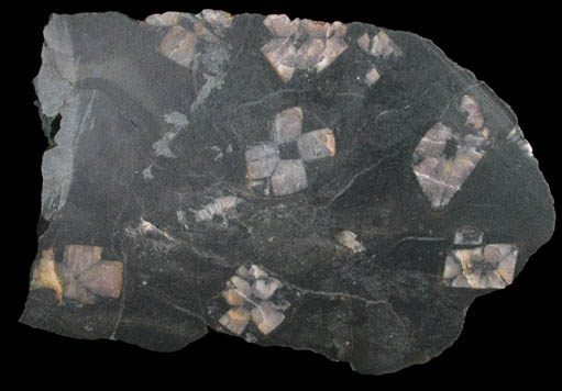 Andalusite var. Chiastolite from Lancaster, Worcester County, Massachusetts