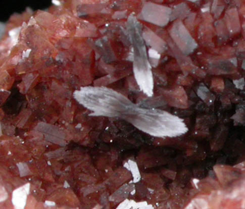 Heulandite with Stilbite from Brigadoon Pocket, Touch Hills, Stirlingshire, Scotland