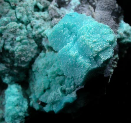 Chrysocolla pseudomorphs after Boleite from Boleo District, near Santa Rosala, Baja California Sur, Mexico (Type Locality for Boleite)