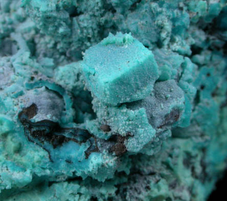 Chrysocolla pseudomorph after Boleite from Boleo District, near Santa Rosala, Baja California Sur, Mexico (Type Locality for Boleite)