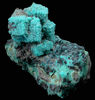 Chrysocolla pseudomorphs after Boleite from Boleo District, near Santa Rosala, Baja California Sur, Mexico (Type Locality for Boleite)