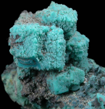 Chrysocolla pseudomorphs after Boleite from Boleo District, near Santa Rosala, Baja California Sur, Mexico (Type Locality for Boleite)