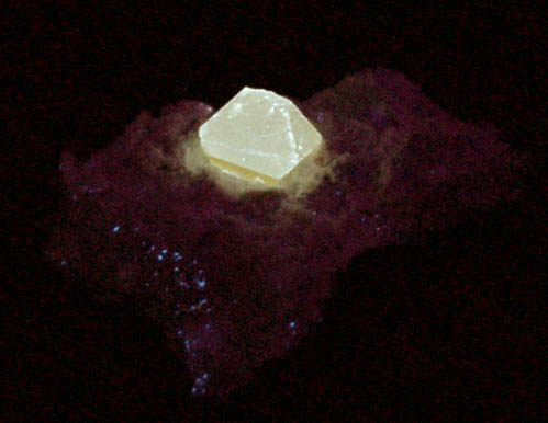 Scheelite from Ortiz Gold Mine, Old Placers District, Santa Fe County, New Mexico