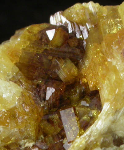 Legrandite from Mina Ojuela, Mapimi, Durango, Mexico