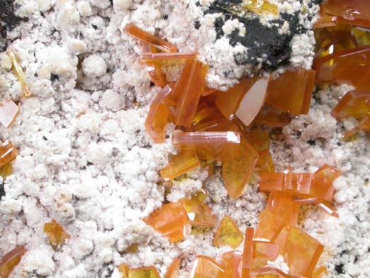 Wulfenite on Hydrozincite from Sierra de Los Lamentos, Chihuahua, Mexico