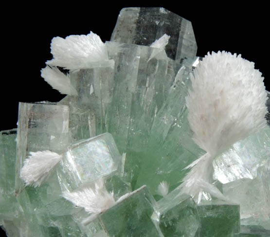 Apophyllite with Thomsonite from Momin Akhada, near Rahuri, 50 km north of Ahmednagar, Maharashtra, India (Type Locality for Collected ca. 2001)