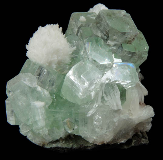 Apophyllite with Thomsonite from Momin Akhada, near Rahuri, 50 km north of Ahmednagar, Maharashtra, India (Type Locality for Collected ca. 2001)