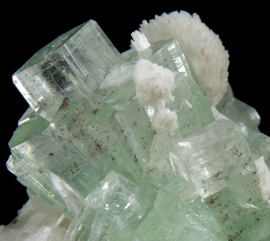 Apophyllite with Thomsonite from Momin Akhada, near Rahuri, 50 km north of Ahmednagar, Maharashtra, India (Type Locality for Collected ca. 2001)