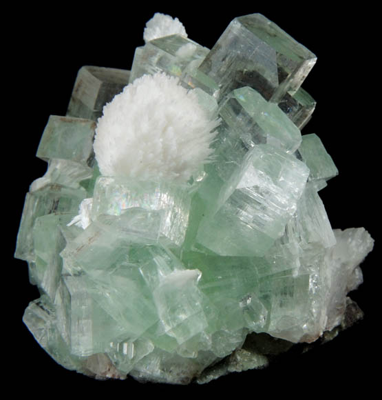 Apophyllite with Thomsonite from Momin Akhada, near Rahuri, 50 km north of Ahmednagar, Maharashtra, India (Type Locality for Collected ca. 2001)