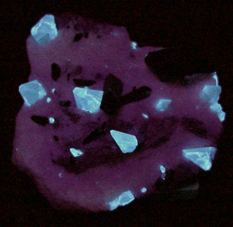 Benitoite, Neptunite, Joaquinite-(Ce) on Natrolite from Benitoite Gem Mine, New Idria District, San Benito County, California (Type Locality for Benitoite and Joaquinite-(Ce))