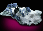 Benitoite and Neptunite from Benitoite Gem Mine, New Idria District, San Benito County, California (Type Locality for Benitoite)