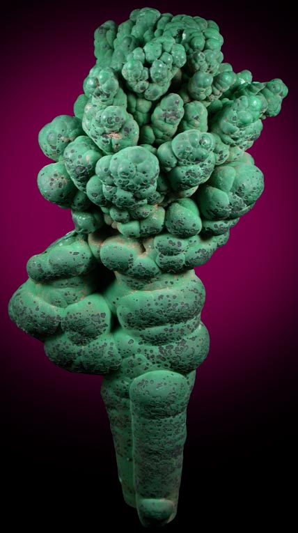 Malachite (stalactitic) from Mashamba Mines, 10 km west of Kolwezi, Katanga Copperbelt, Lualaba Province, Democratic Republic of the Congo