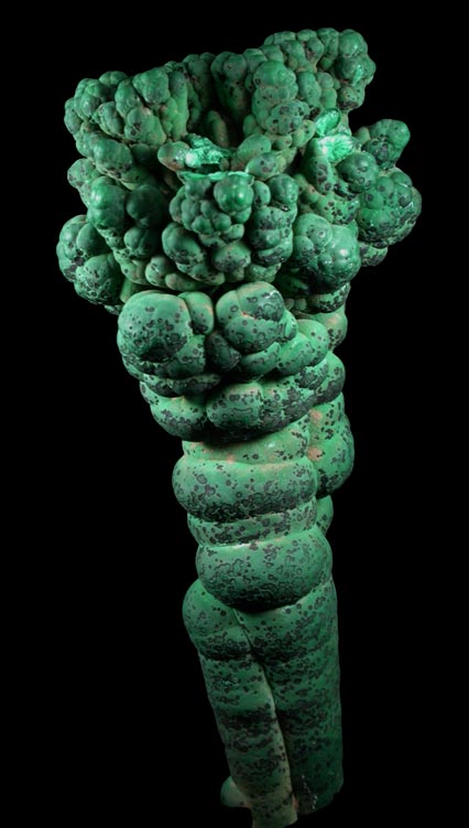 Malachite (stalactitic) from Mashamba Mines, 10 km west of Kolwezi, Katanga Copperbelt, Lualaba Province, Democratic Republic of the Congo