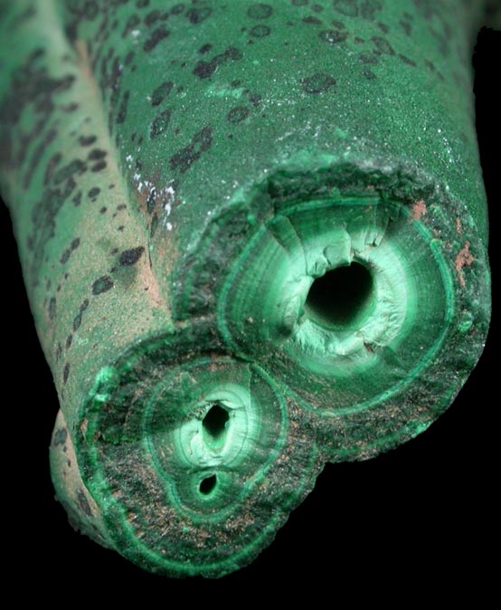 Malachite (stalactitic) from Mashamba Mines, 10 km west of Kolwezi, Katanga Copperbelt, Lualaba Province, Democratic Republic of the Congo