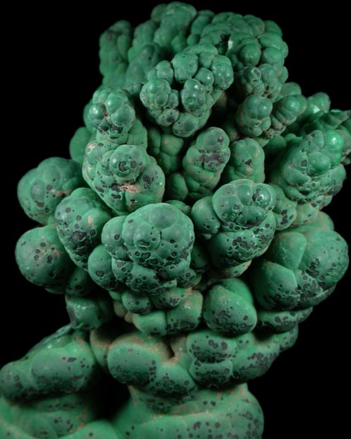 Malachite (stalactitic) from Mashamba Mines, 10 km west of Kolwezi, Katanga Copperbelt, Lualaba Province, Democratic Republic of the Congo