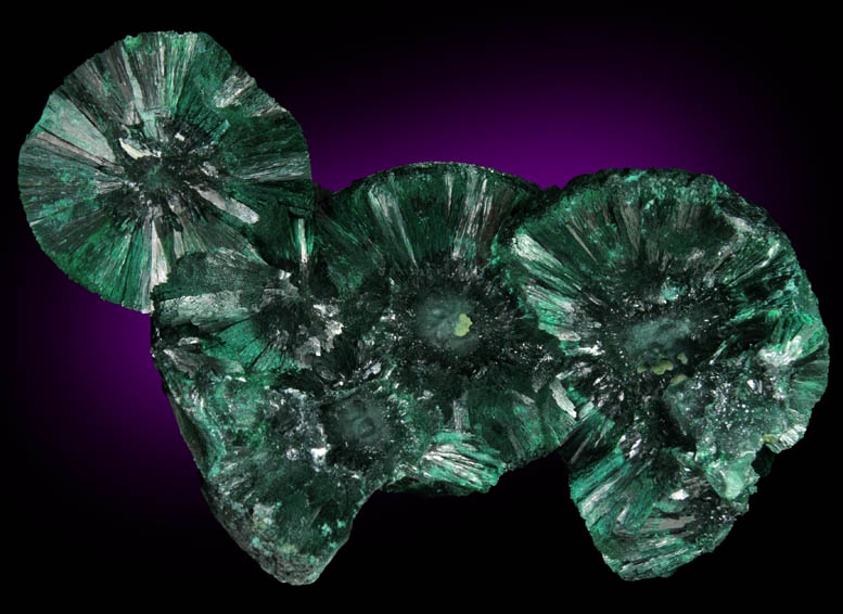 Malachite from Mashamba Mines, 10 km west of Kolwezi, Katanga Copperbelt, Lualaba Province, Democratic Republic of the Congo