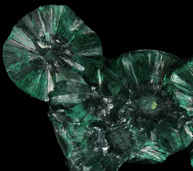 Malachite from Mashamba Mines, 10 km west of Kolwezi, Katanga Copperbelt, Lualaba Province, Democratic Republic of the Congo