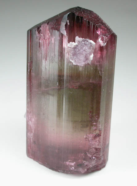 Elbaite var. Tourmaline with Lepidolite from Himalaya Mine, Mesa Grande District, San Diego County, California