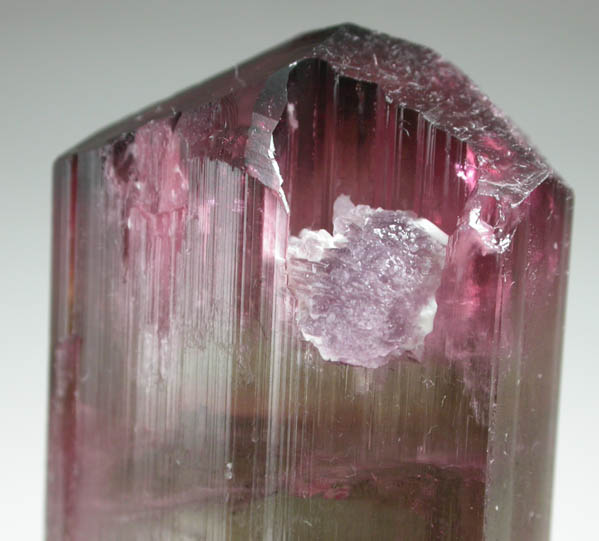 Elbaite var. Tourmaline with Lepidolite from Himalaya Mine, Mesa Grande District, San Diego County, California