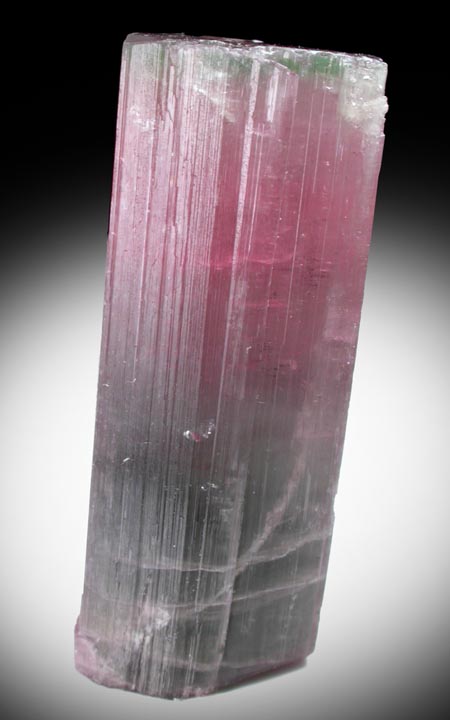 Elbaite var. Rubellite Tourmaline from Himalaya Mine, Mesa Grande District, San Diego County, California