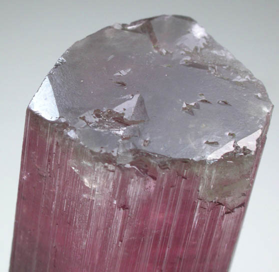 Elbaite var. Rubellite Tourmaline from Himalaya Mine, Mesa Grande District, San Diego County, California