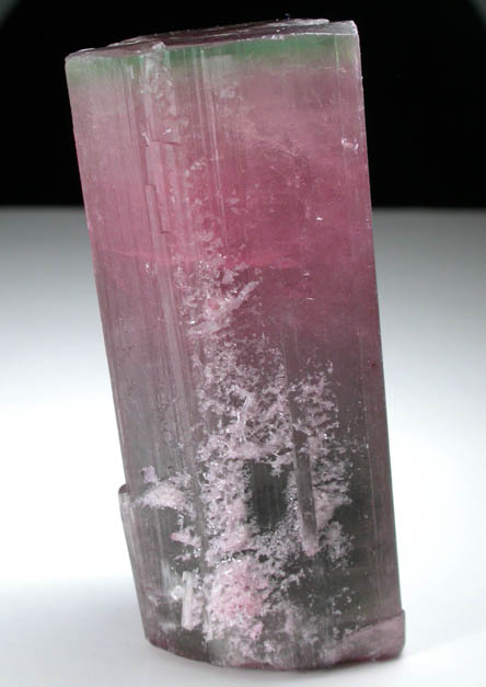 Elbaite var. Rubellite Tourmaline from Himalaya Mine, Mesa Grande District, San Diego County, California