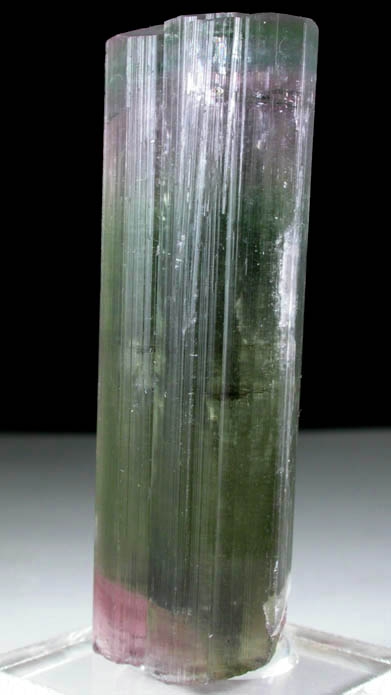 Elbaite Tourmaline from Himalaya Mine, Mesa Grande District, San Diego County, California