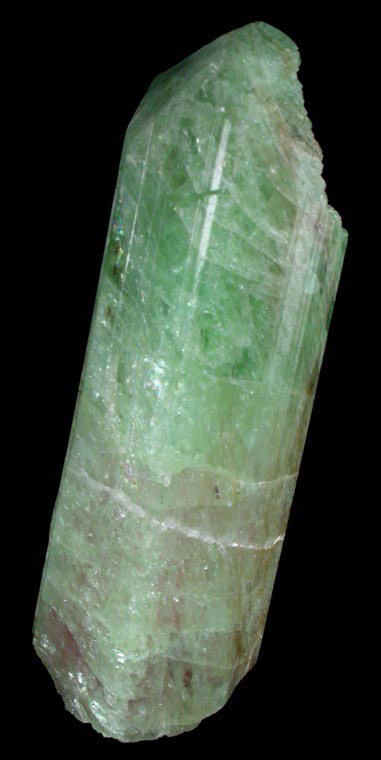 Elbaite var. Watermelon Tourmaline from Dunton Quarry, Plumbago Mountain, Hall's Ridge, Newry, Oxford County, Maine