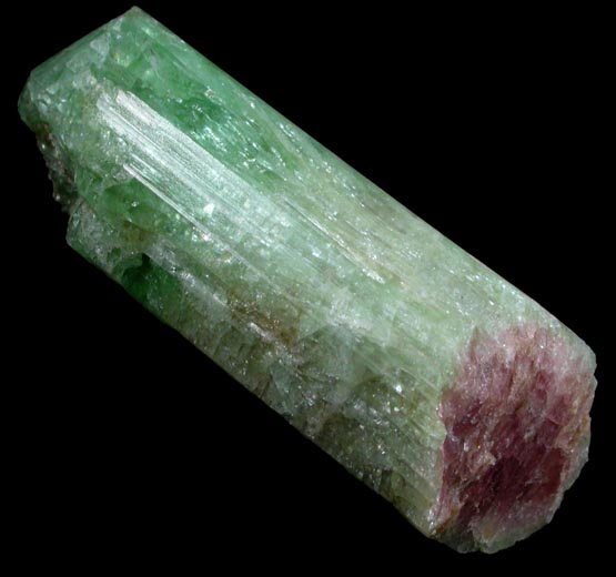 Elbaite var. Watermelon Tourmaline from Dunton Quarry, Plumbago Mountain, Hall's Ridge, Newry, Oxford County, Maine