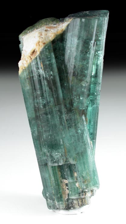 Elbaite Tourmaline with Albite from Pederneira Mine, Sao Jose da Safira, Minas Gerais, Brazil