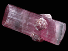 Elbaite var. Rubellite Tourmaline with Lepidolite from Himalaya Mine, Mesa Grande District, San Diego County, California