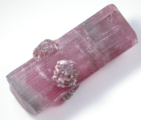 Elbaite var. Rubellite Tourmaline with Lepidolite from Himalaya Mine, Mesa Grande District, San Diego County, California