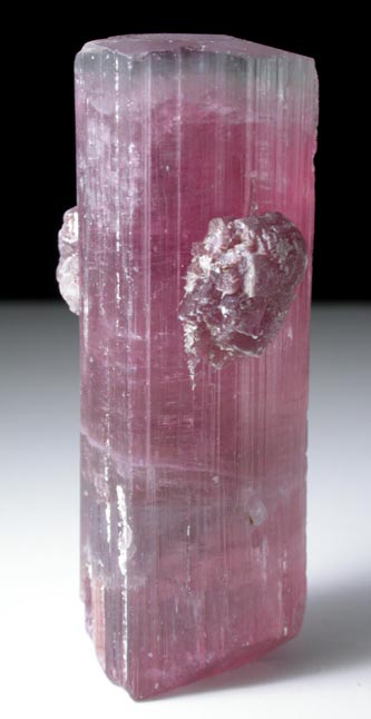 Elbaite var. Rubellite Tourmaline with Lepidolite from Himalaya Mine, Mesa Grande District, San Diego County, California