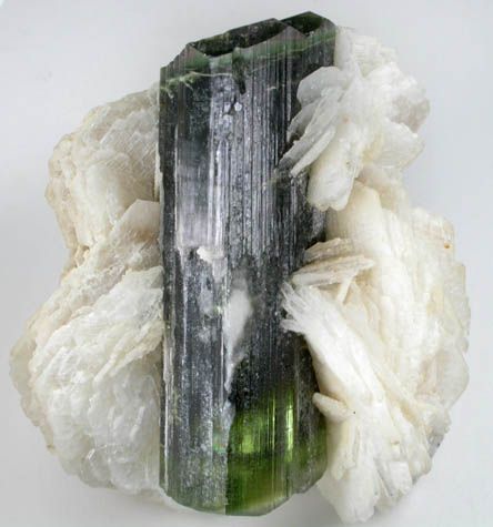 Elbaite Tourmaline on Albite var. Cleavelandite from Paprok, Kamdesh District, Nuristan Province, Afghanistan