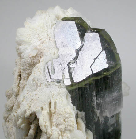 Elbaite Tourmaline on Albite var. Cleavelandite from Paprok, Kamdesh District, Nuristan Province, Afghanistan