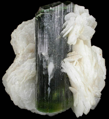 Elbaite Tourmaline on Albite var. Cleavelandite from Paprok, Kamdesh District, Nuristan Province, Afghanistan