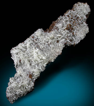 Cerussite on Limonite from Zlate Hory (Zuckmantel), Moravia, Czech Republic