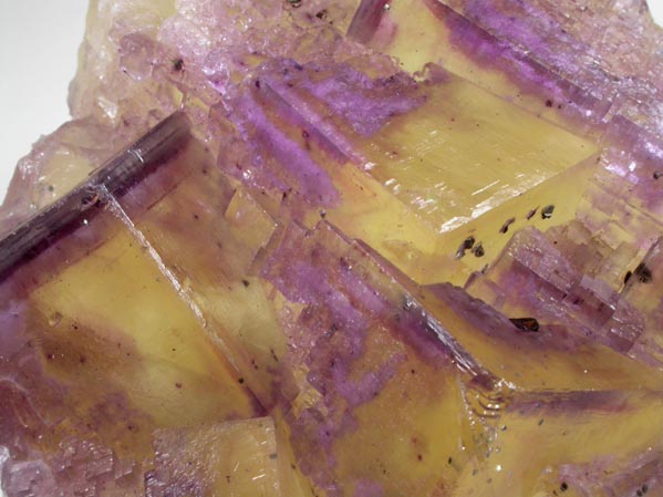 Fluorite with Chalcopyrite inclusions from Cave-in-Rock District, Hardin County, Illinois