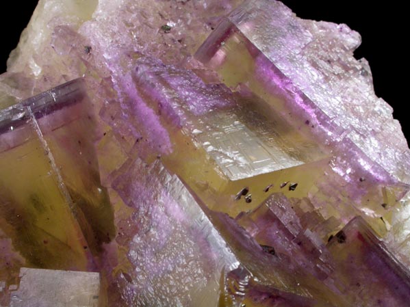 Fluorite with Chalcopyrite inclusions from Cave-in-Rock District, Hardin County, Illinois