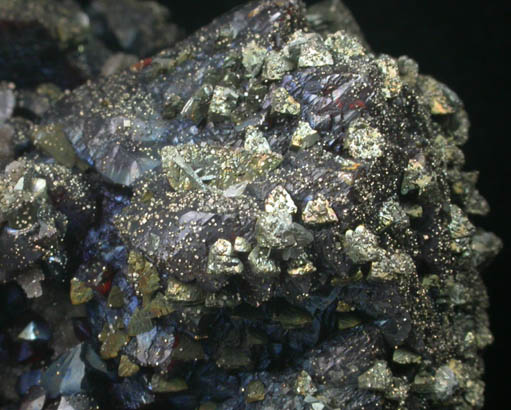 Sphalerite and Chalcopyrite from Baxter Springs, Tri-State District, Cherokee County, Kansas