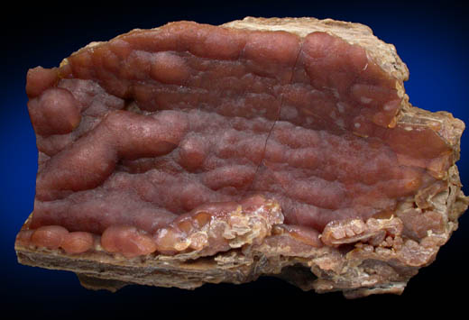 Calcite var. Travertine from Ilion Gorge, Litchfield, Herkimer County, New York