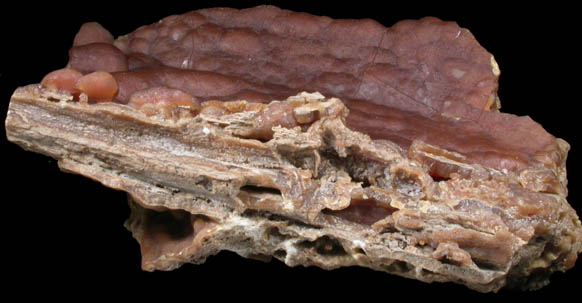 Calcite var. Travertine from Ilion Gorge, Litchfield, Herkimer County, New York